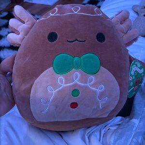 Squishmallows Gingerbread Plush - Brown and Green